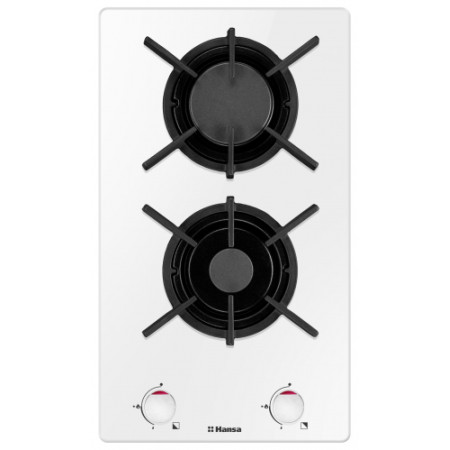 Газов плот Hansa BHKW310300